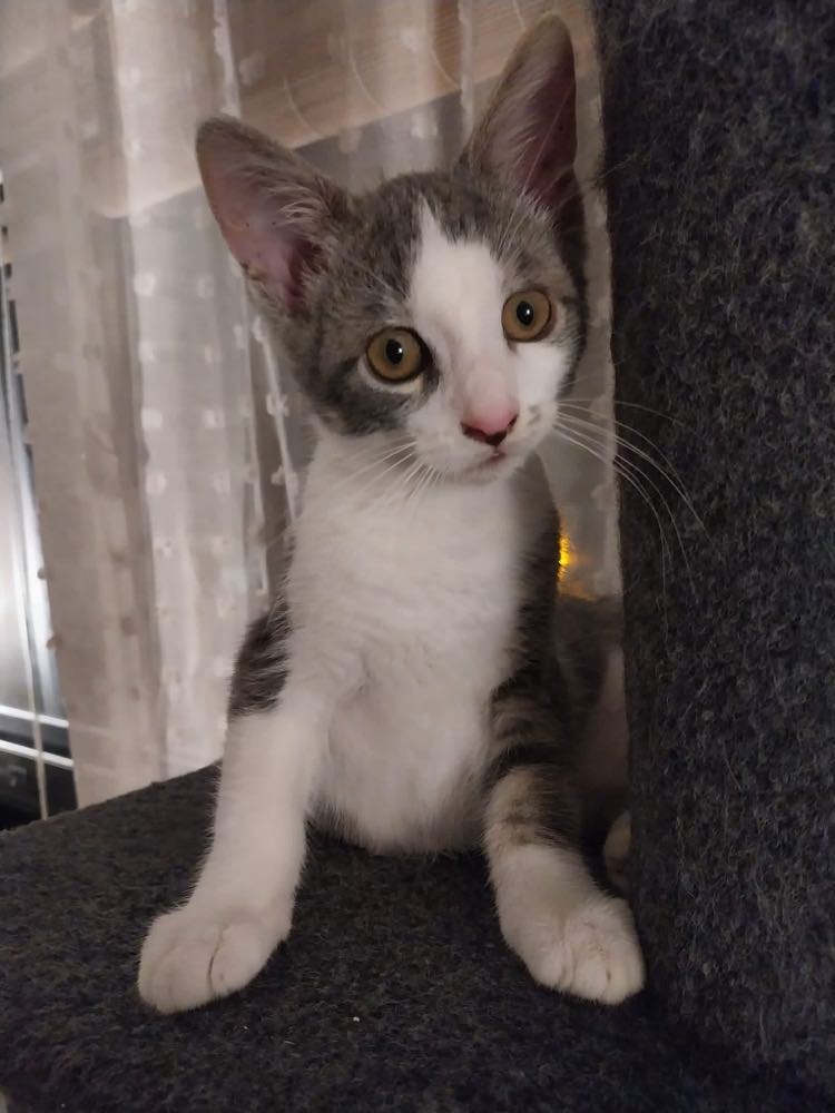 371525822_3571954966427472_3665502307998308951_n