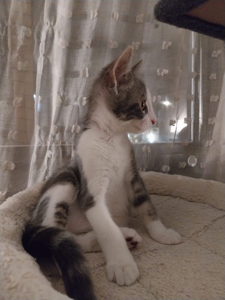 371971813_617812967208431_8266853924448934097_n