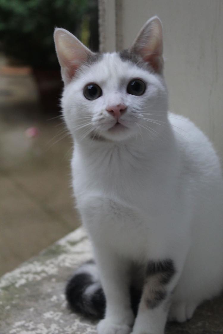 371984318_957172935346441_9079850405944789468_n