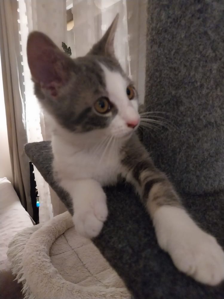 372078486_248440864317534_9181709214485562065_n