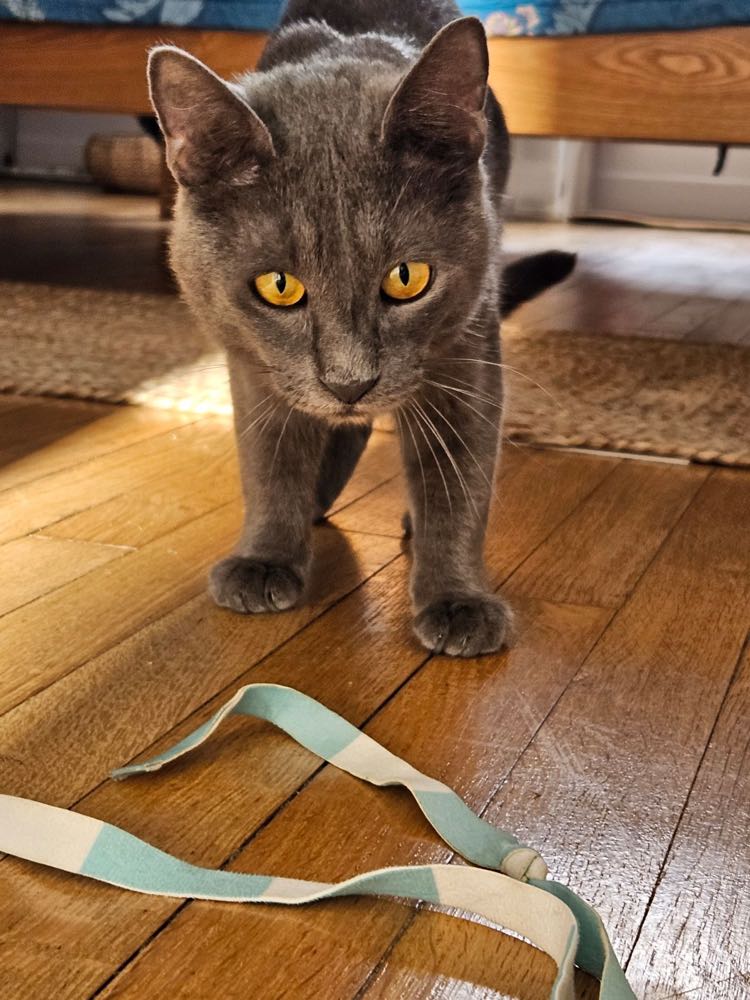 372156050_674074174646306_5265356821722080209_n