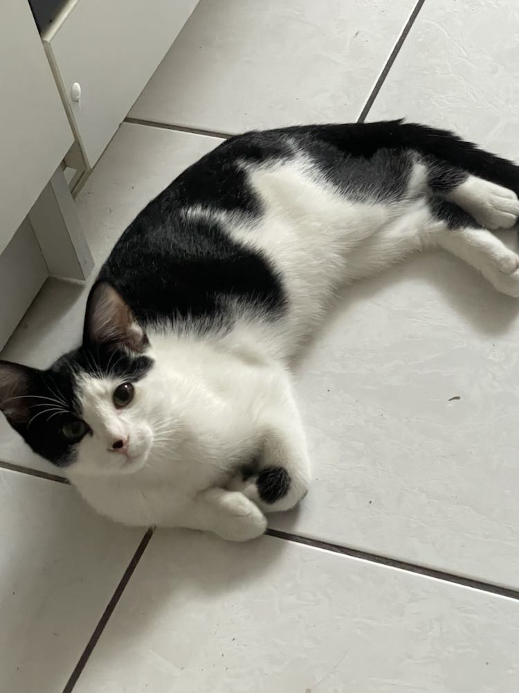 372915639_1027177541768021_9164021418294526581_n