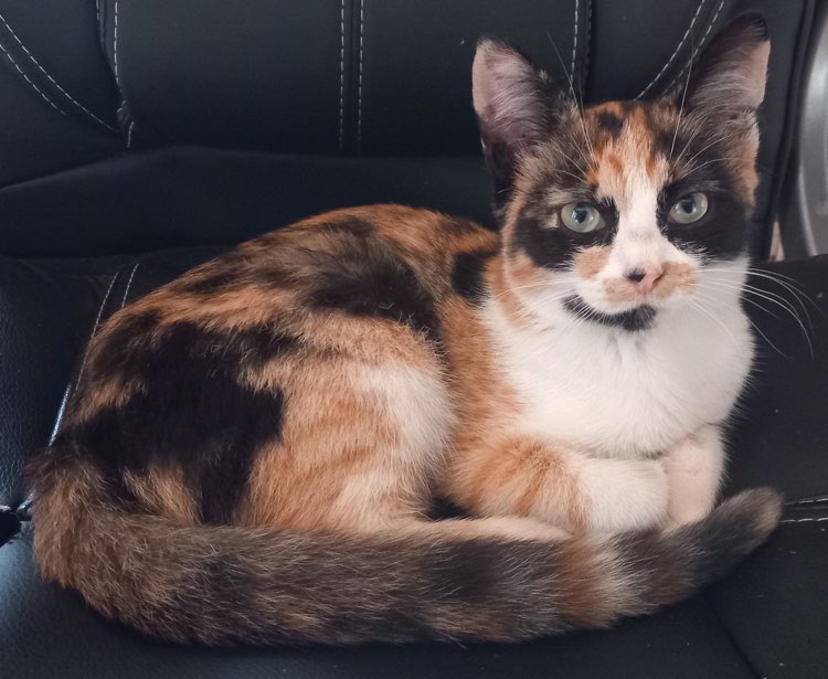 373268722_3470606256485296_8351024982984243747_n