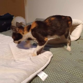 Photo de Berlioz & Mary