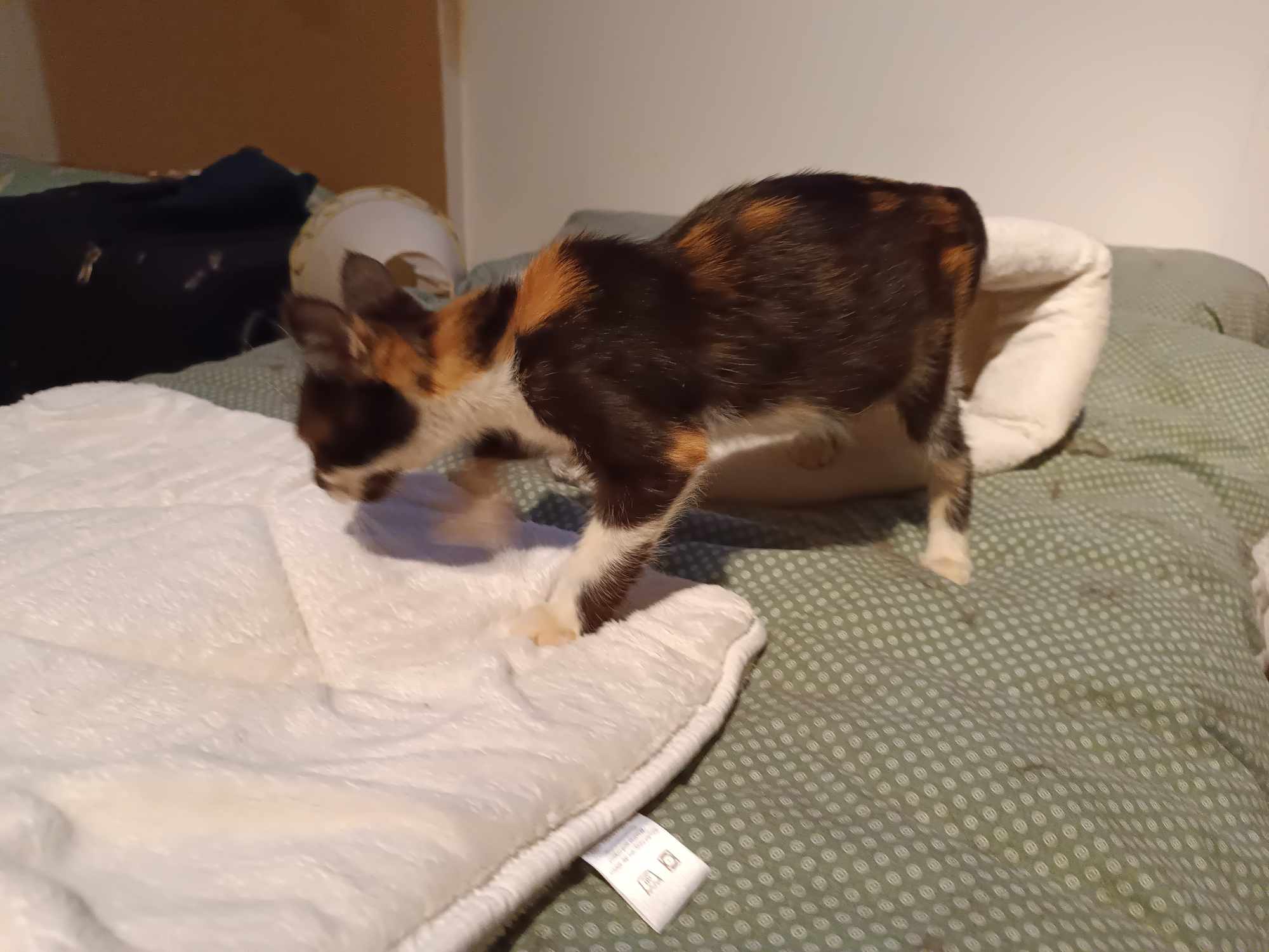 373419465_997328764853822_7073970128889506260_n