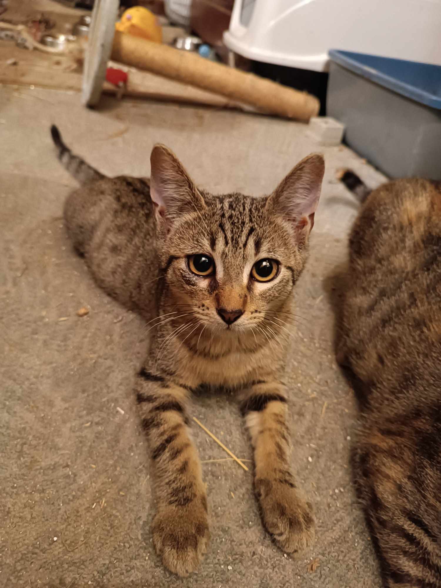 373420312_2521436494692188_2535789731944172203_n