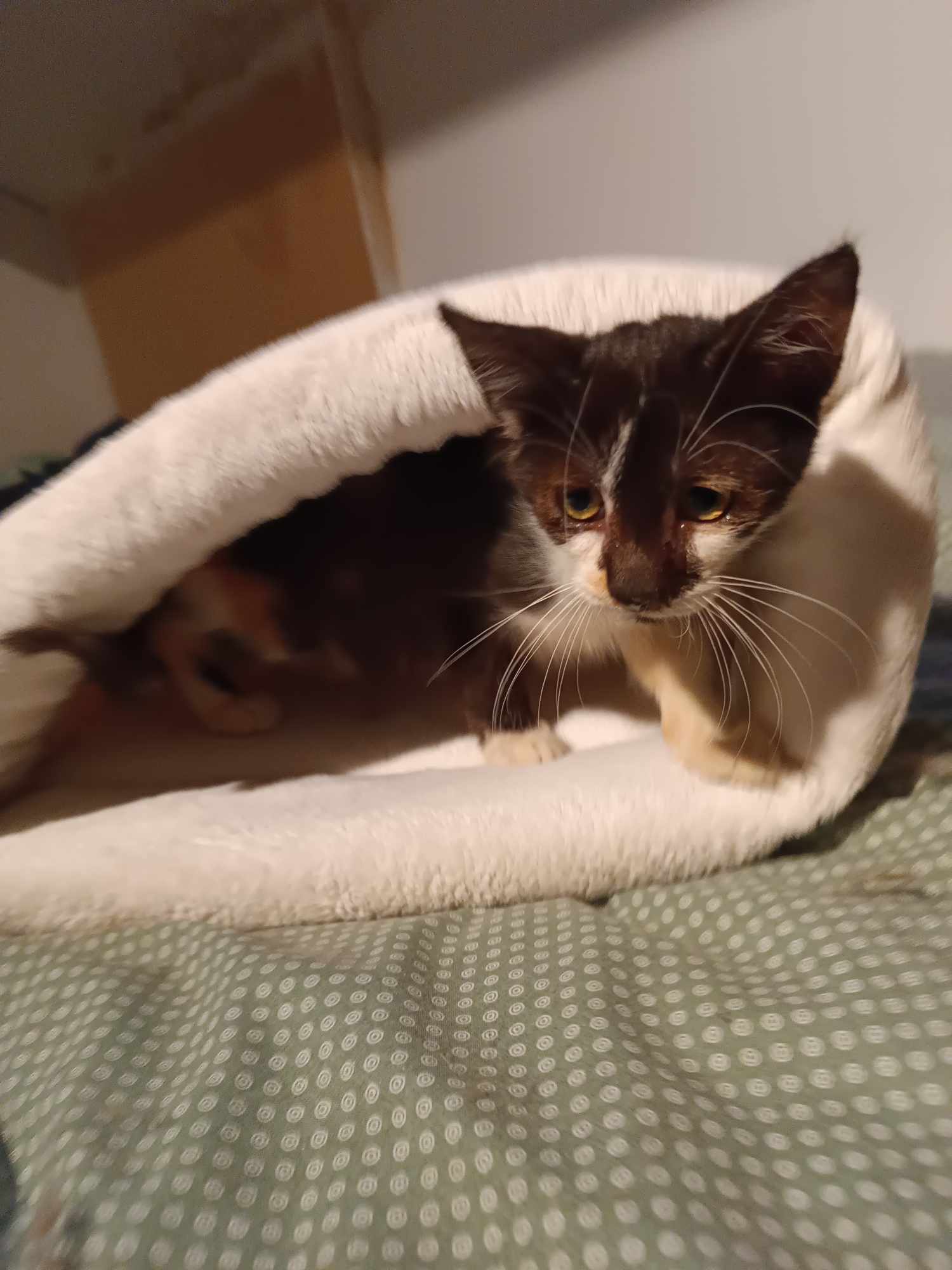 373424771_827452155580178_9084268530704991216_n