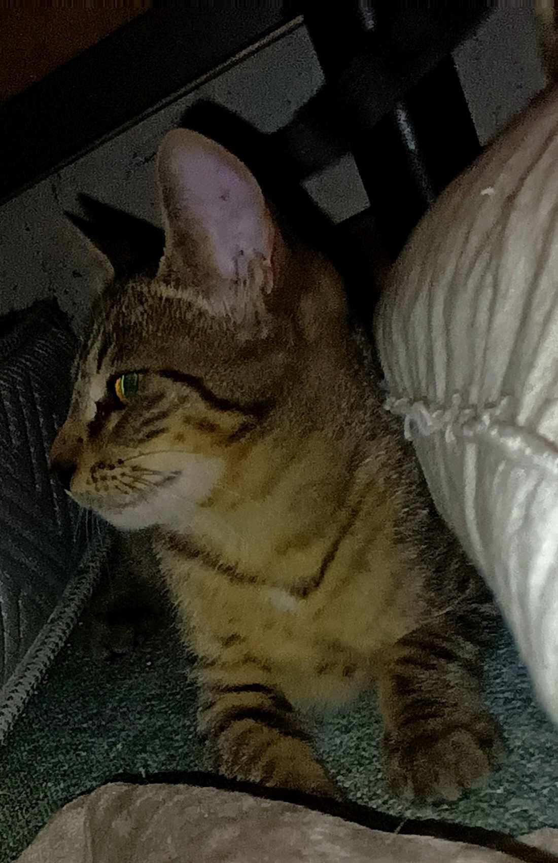 373433183_759341842660008_1609891247993350789_n