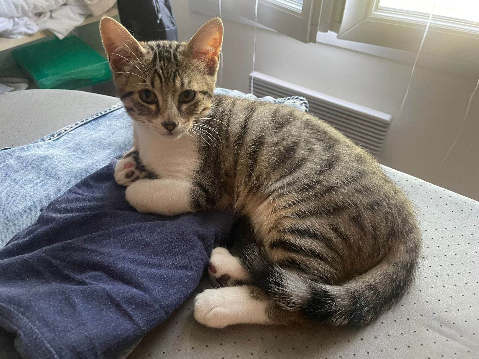 373462021_168055819656395_3375461095131135729_n