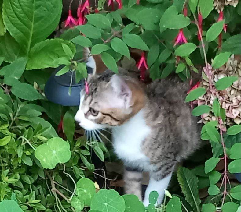 373463691_3520961501496575_610211532154009935_n