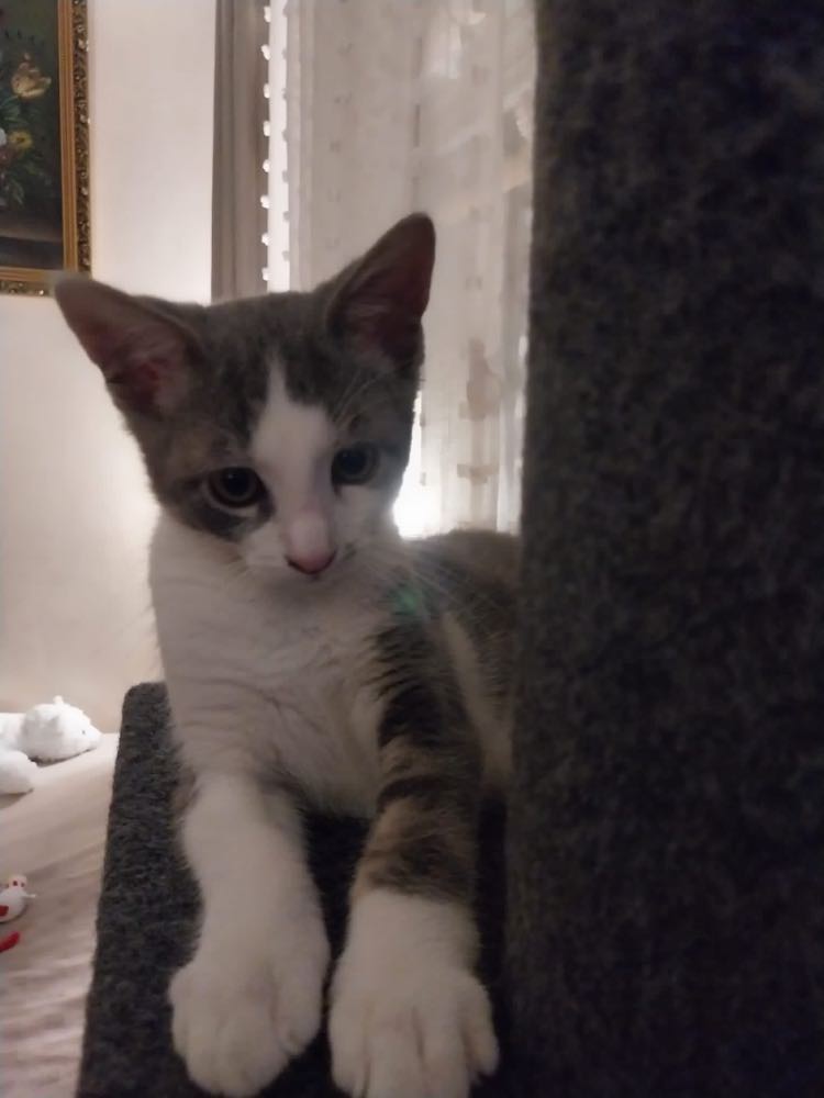 373470989_2066841963664856_2231783428383870230_n