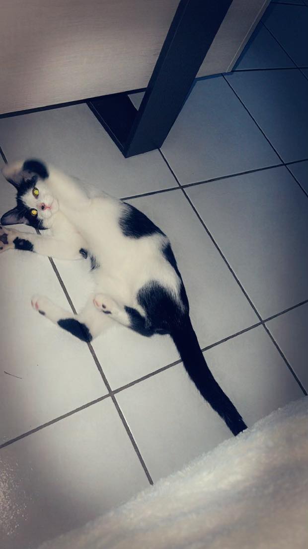 373482884_214759001340291_7593637045945698706_n