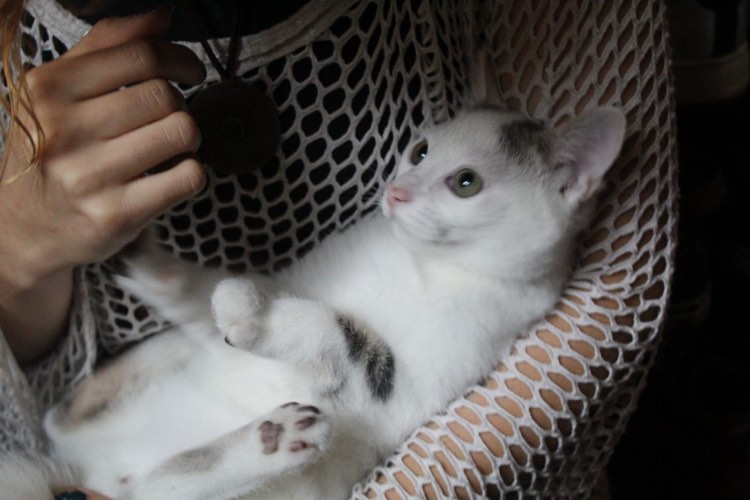 374958061_1510821846322562_3206833992975033313_n