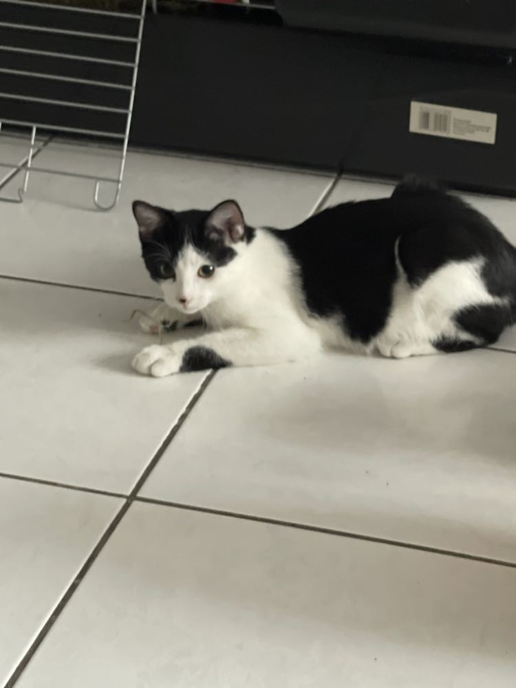 375012105_355514873489651_8682184400493991946_n