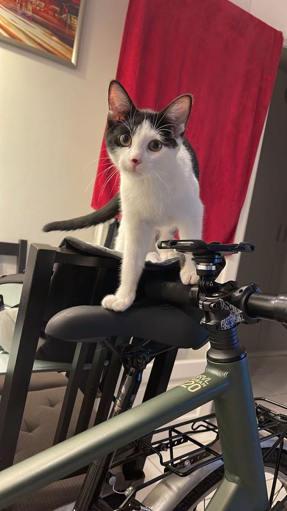 375025663_1714289109089547_2054472066806410048_n