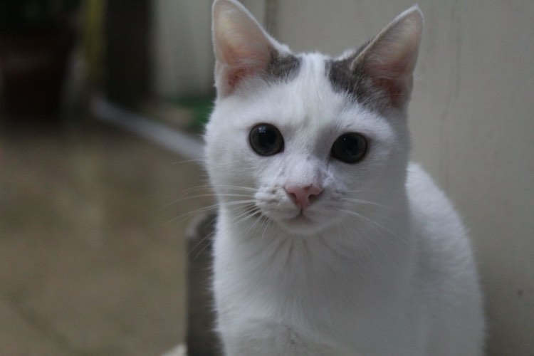 375758604_292765700157389_4530512336579945993_n