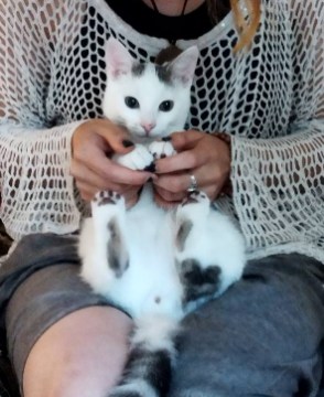 375765674_667928385266641_2536210291147297709_n