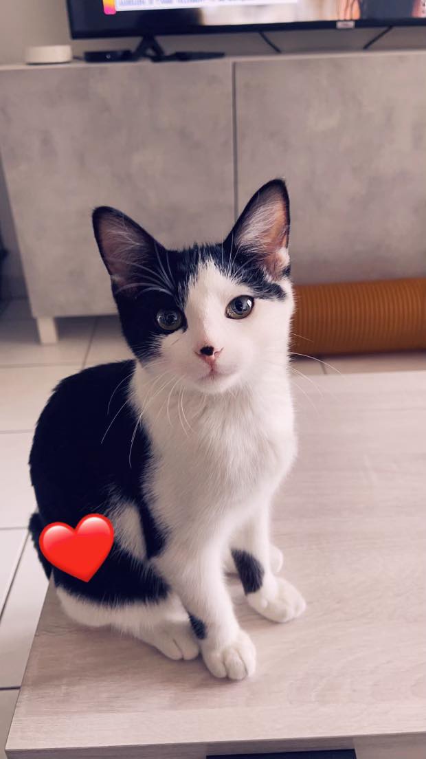 376357621_306477915365310_571605986349268190_n