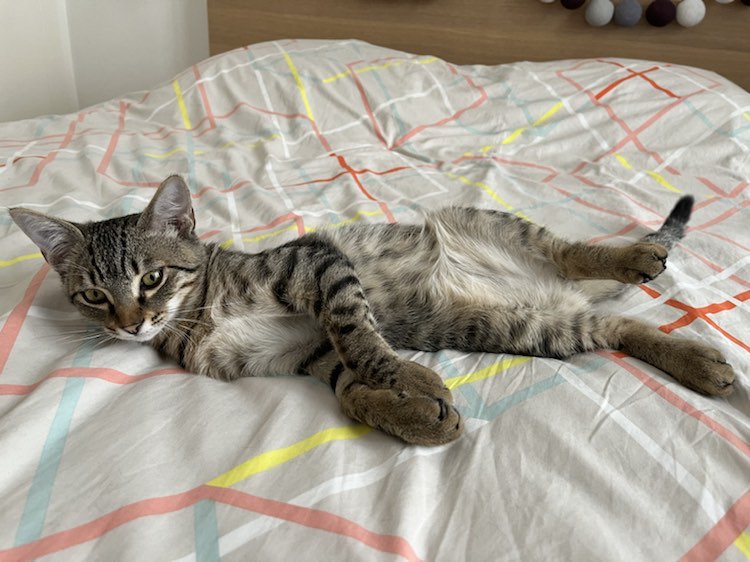 376369129_603300005346676_3290387383795104800_n