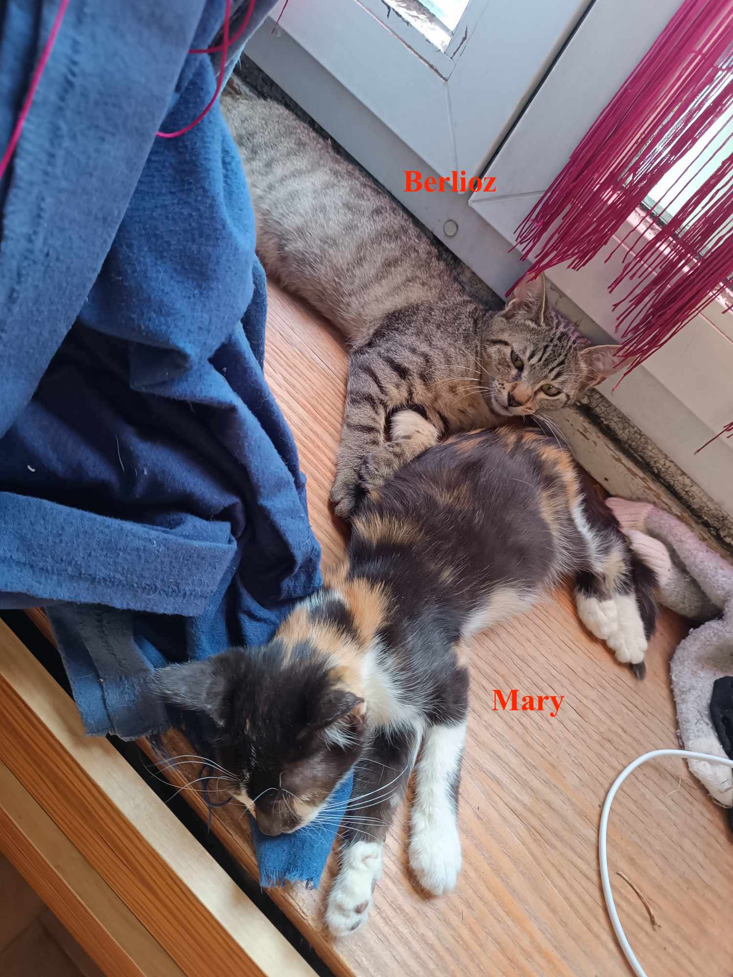 376789966_711660941003967_5578559534512791697_n-copie