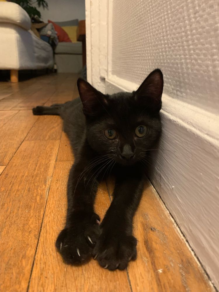 377881416_759116012713279_7708691857384927745_n