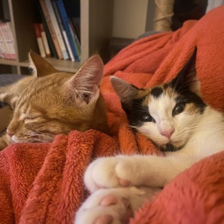 Photo de Miette et Ugo