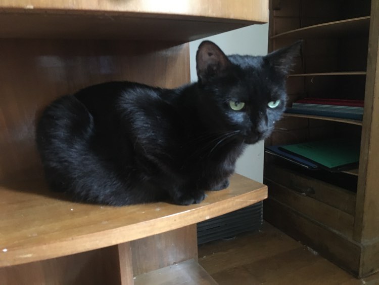 378252001_241736242181598_3136854148269401813_n