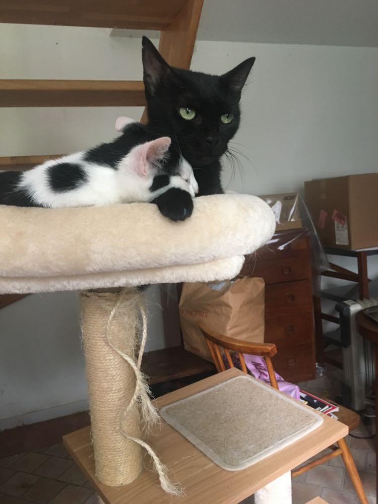 378305848_330986929312314_4700021893585775722_n