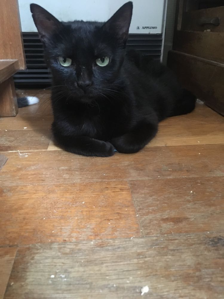 379339197_2049976345366338_7240188871972618187_n