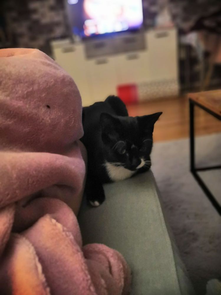 379547415_1508071453355348_275305545855035189_n