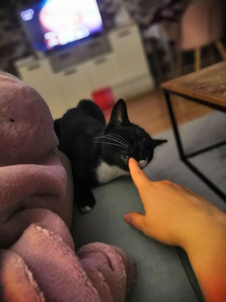 379560993_682923856801284_2125920496659914738_n