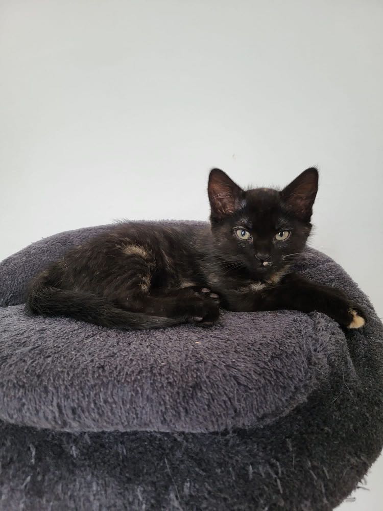 379650631_706061381019628_2687034912488584782_n