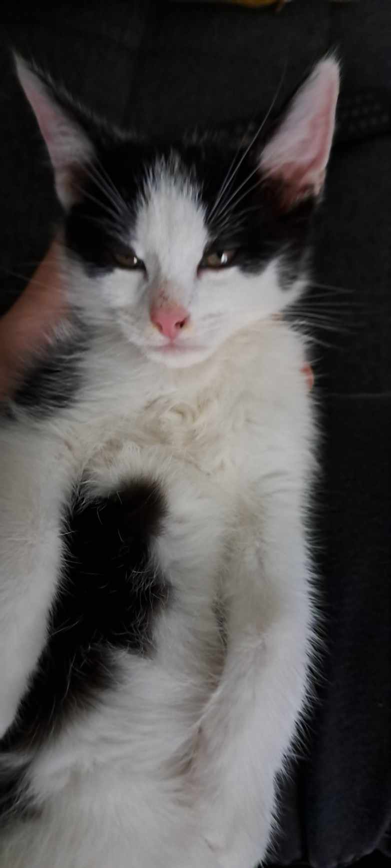 382698276_752332866727431_3327633077512841173_n