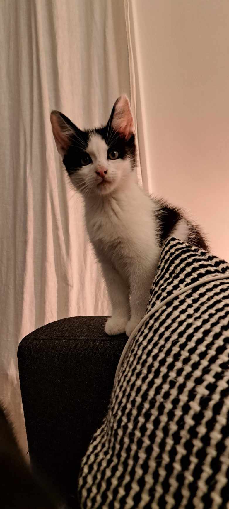 382701267_986406835748098_8314712366193198170_n-1