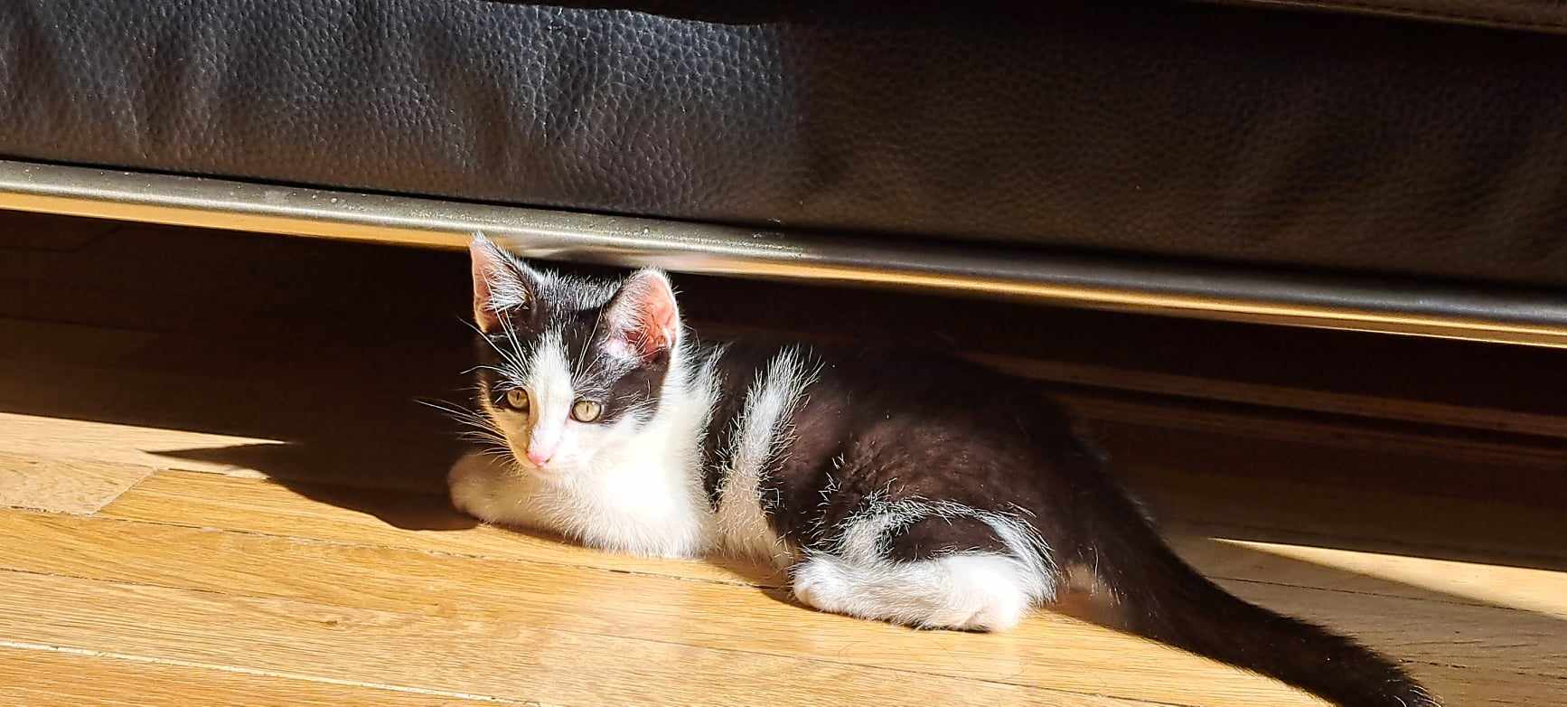 382720152_1250825795582756_8314875546051100599_n-1