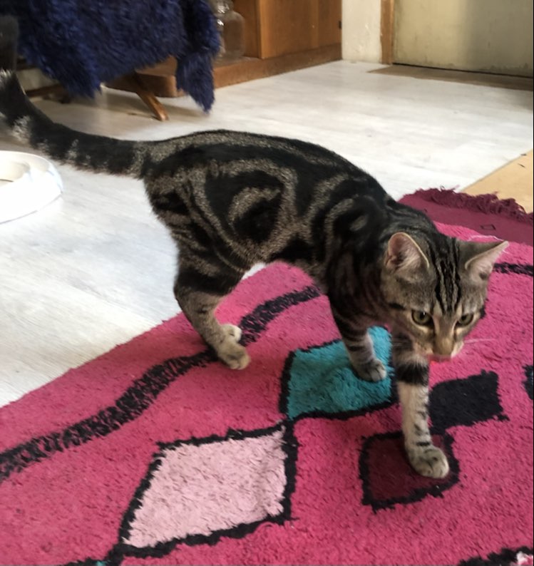 383144452_716087800361729_1625580795110515658_n