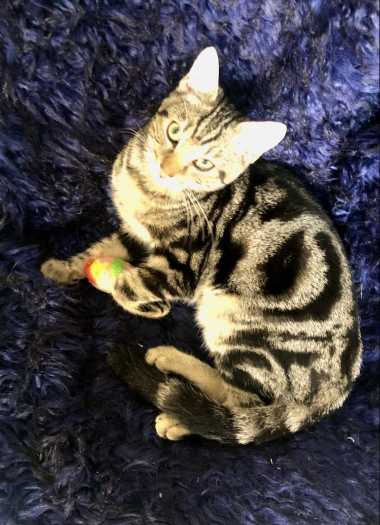 383288118_666304775474918_5455022927880012426_n