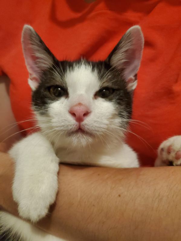 383350232_289229327228078_7018634312933889878_n