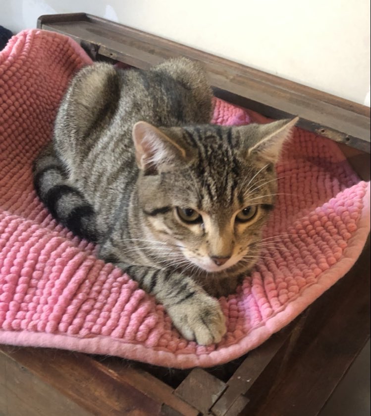 383588792_711212310849144_7125835447115808759_n