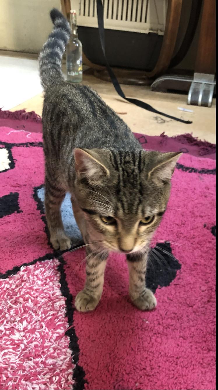 383752633_826331875705462_5139976512190888665_n