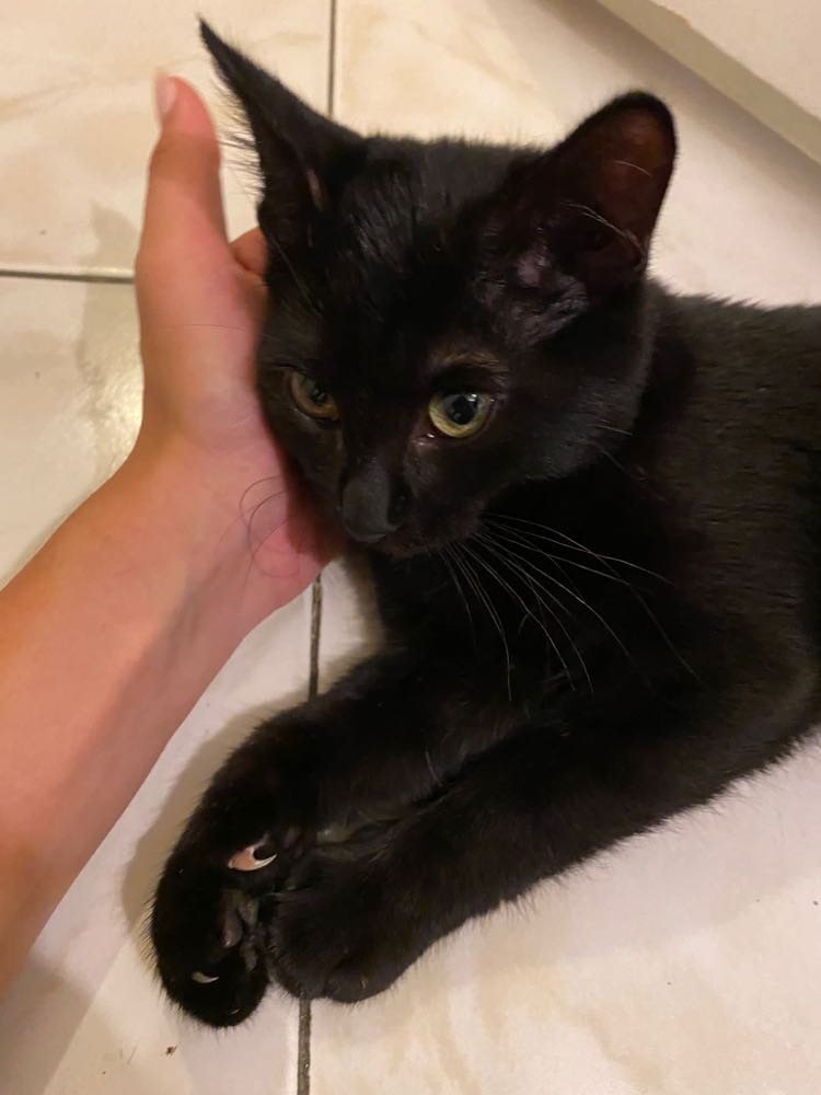 383808026_805330684671921_4155219972313750428_n