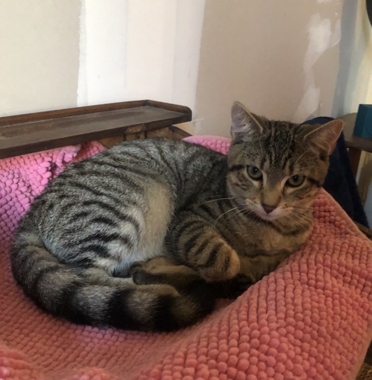 383873355_988061795803632_7027653149705552951_n