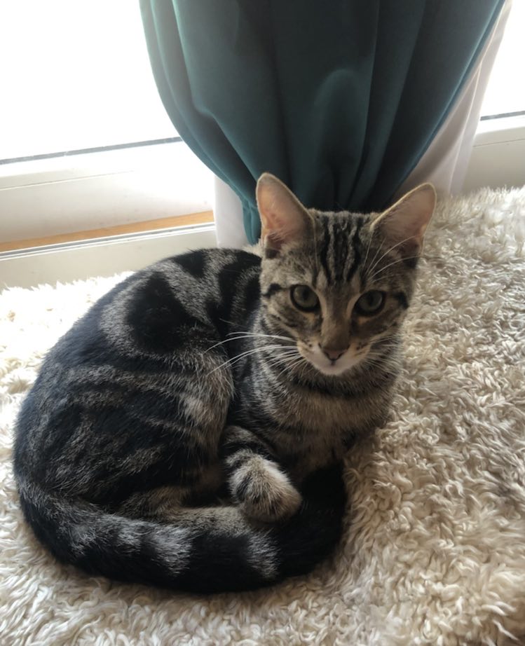 383879792_2127037824299461_2788036290477030585_n