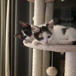 Photo de Hope & Hannah