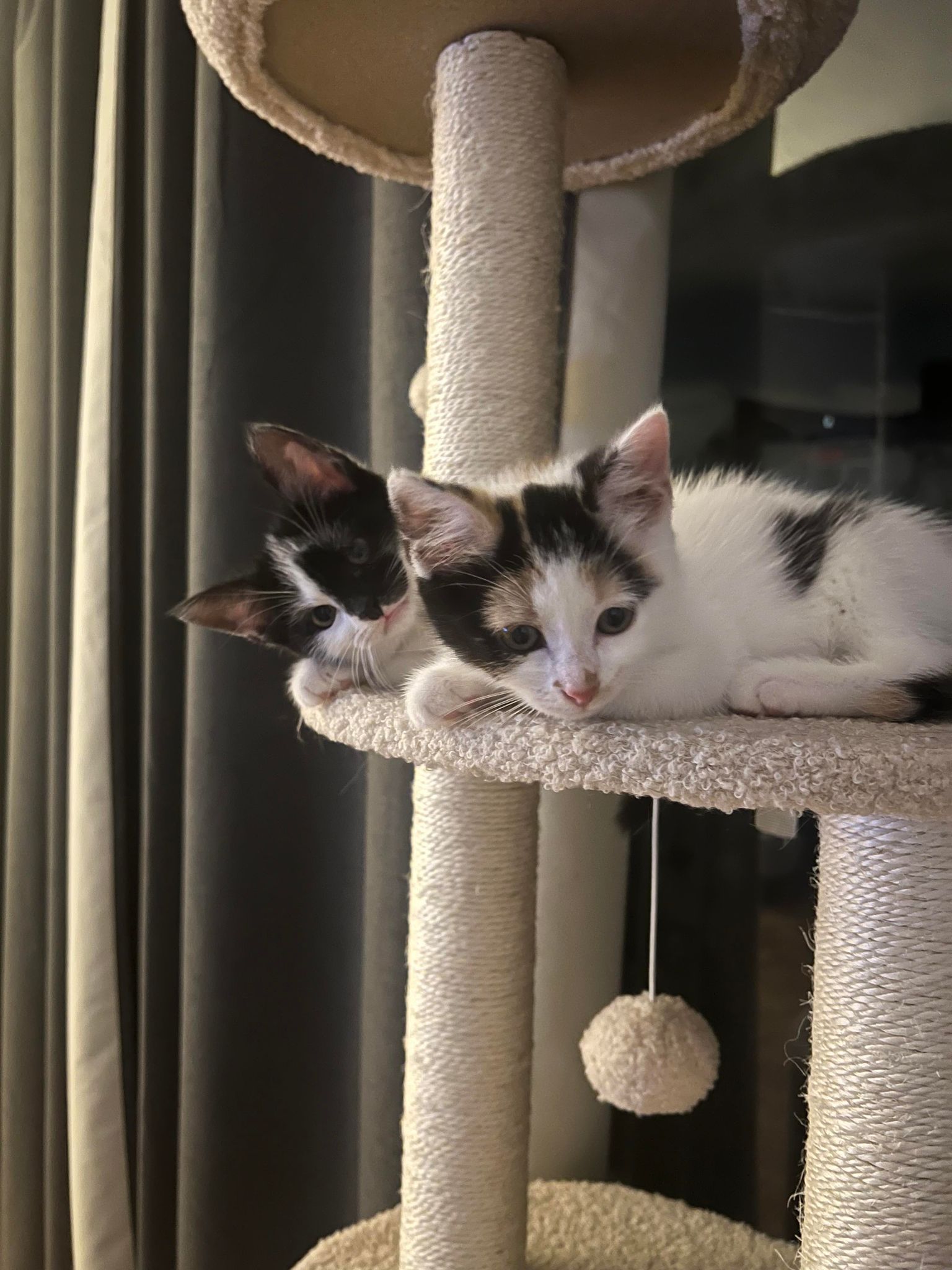 383898708_1492689354901640_8572156613154401820_n