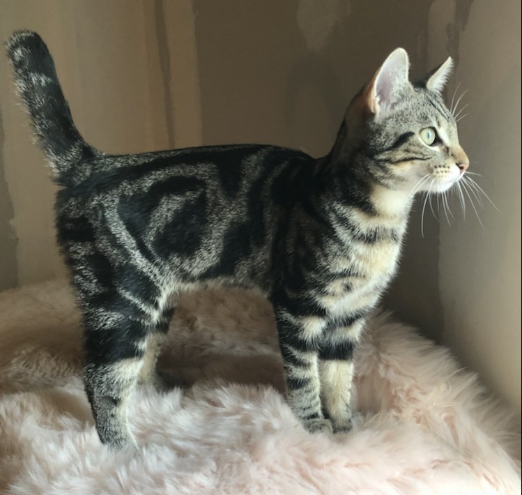 383902199_1008821333687327_5145257168440070659_n