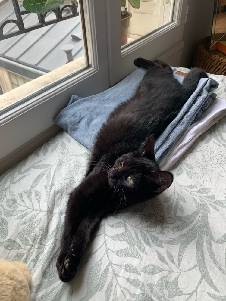 383942034_325174700060502_3145127272399782238_n