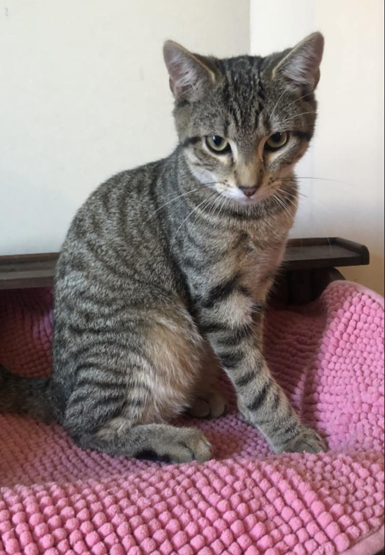 384042651_153111294534954_5141147919251102784_n