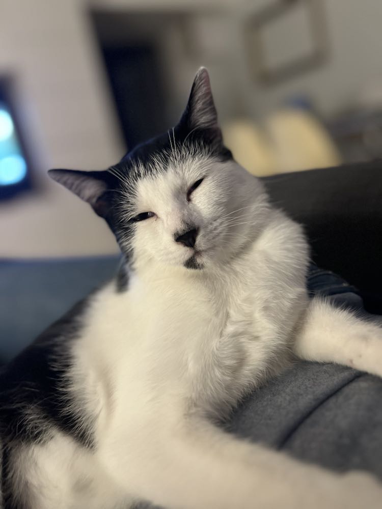 384501553_3607447979496482_4035409083692928406_n