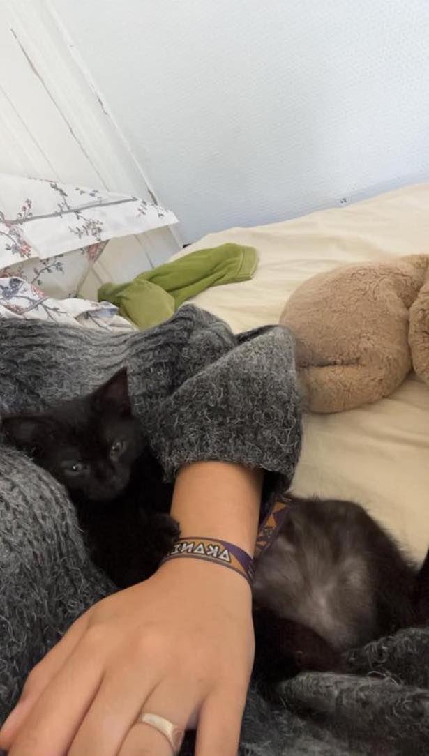 384503877_318192554228680_3739689685723102475_n